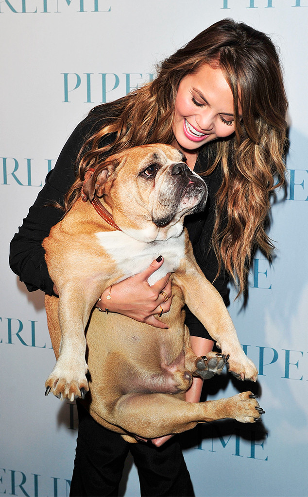 Chrissy Teigen, Puddy Chrissy Teigen, Puddy